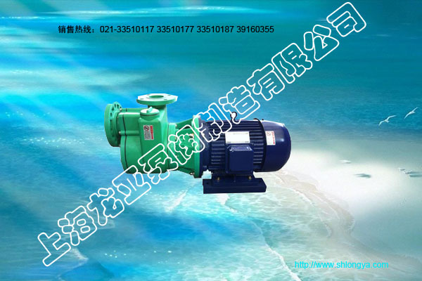 80FPZ-32塑料自吸泵,80FPZ防腐自吸泵